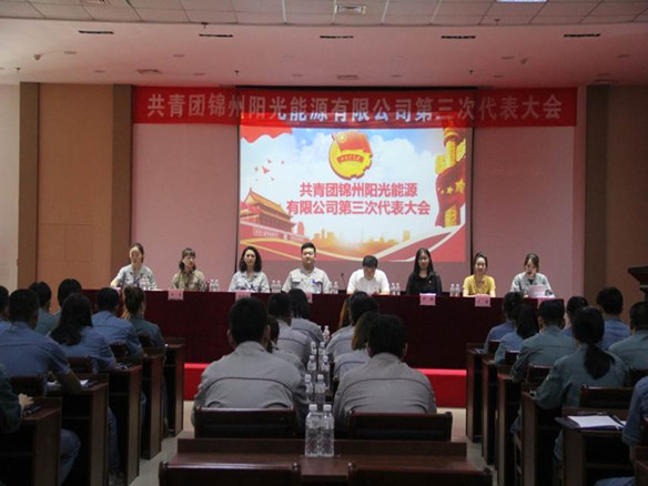共青團錦州九游会·(j9)官方能源有限公司第三次代表大會
