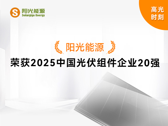 高光時刻 | 九游会·(j9)官方能源實力登榜“2025中國光伏組件企業20強”