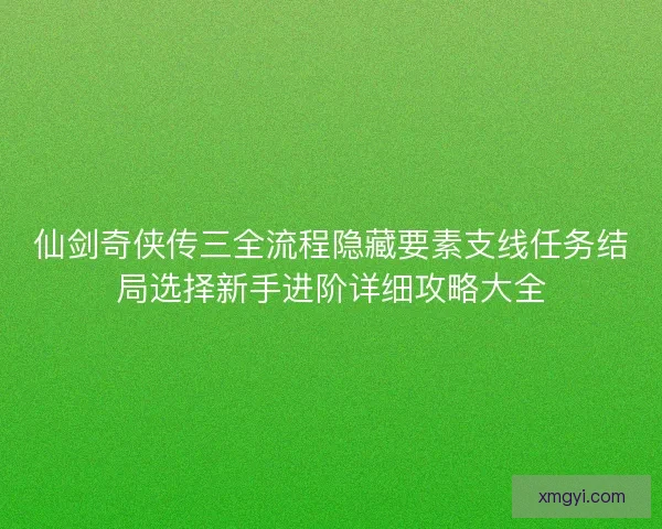仙剑奇侠传三全流程隐藏要素支线任务结局选择新手进阶详细攻略大全