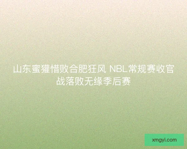 山东蜜獾惜败合肥狂风 NBL常规赛收官战落败无缘季后赛